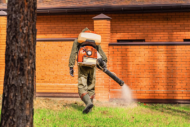Top rated local Ant Control specialists in Noble, OK